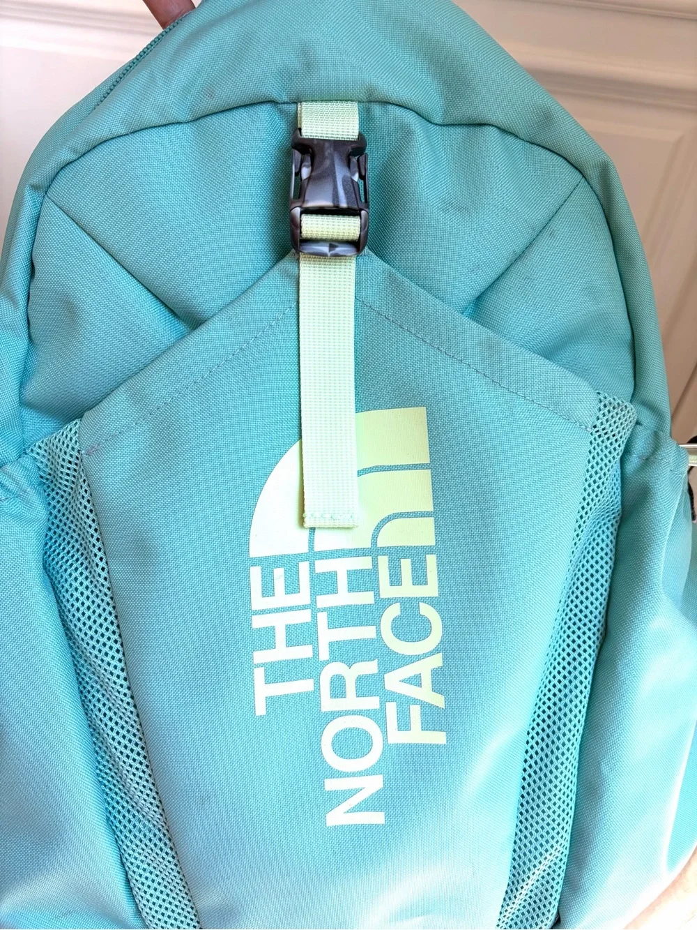 The North Face Mint Green Daypack